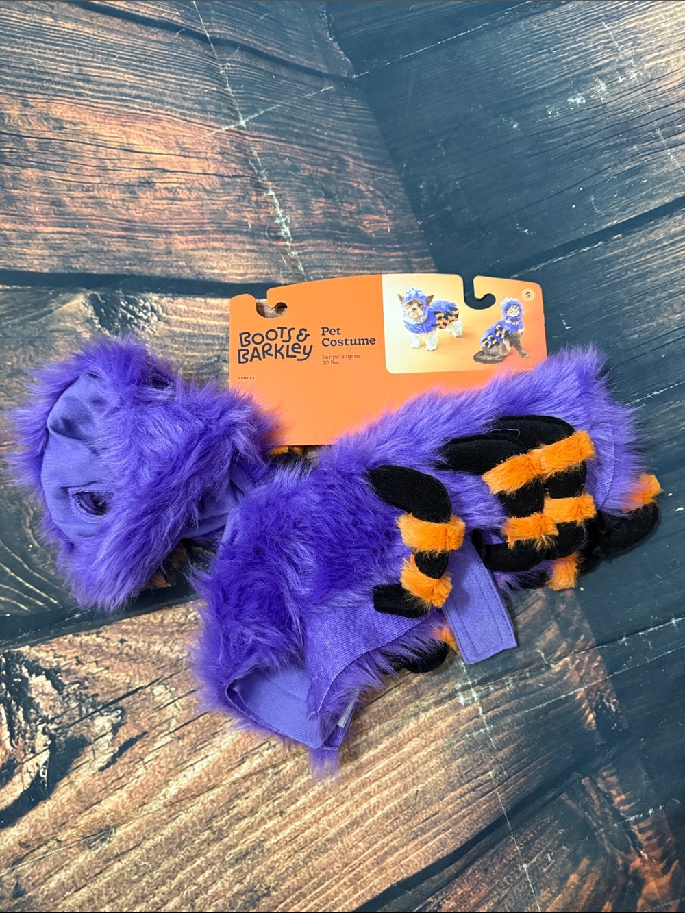 Boots & Barkley Purple and Orange Spider Kids Pet Costume